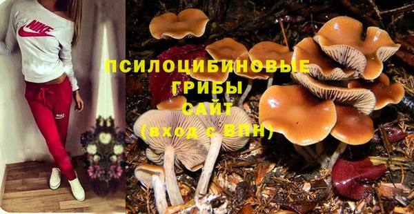 синтетический гашиш Карпинск