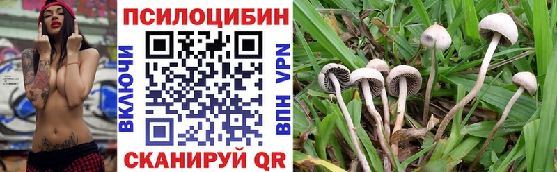 Псилоцибиновые грибы GOLDEN TEACHER  Купить  Сухой Лог 