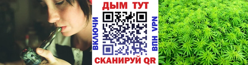 Купить  Сухой Лог  Конопля ГИДРОПОН 